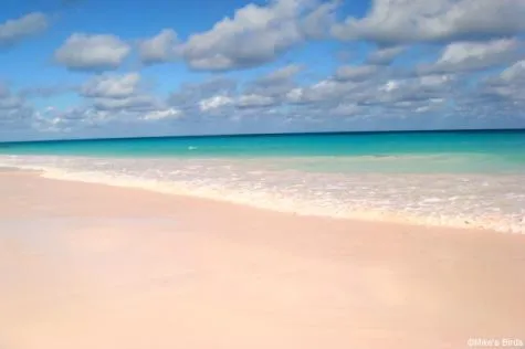 5 plus belles plages aux Antilles                                               