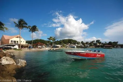 Guadeloupe ou Martinique                                                        