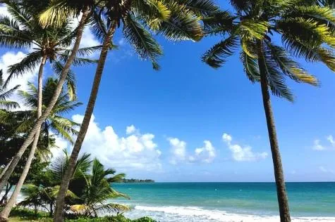 Les bonnes adresses en Martinique                                               