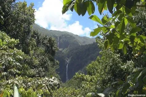 Les chutes du Carbet en Guadeloupe                                              