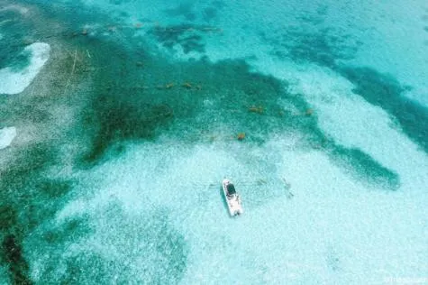 Les fonds blancs en Martinique