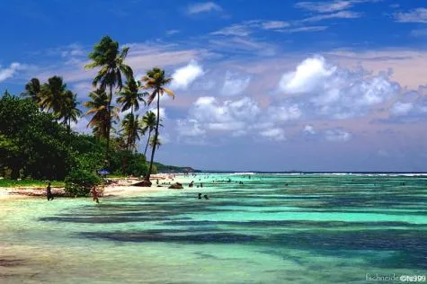 Guide de vacances pour la Guadeloupe                                            