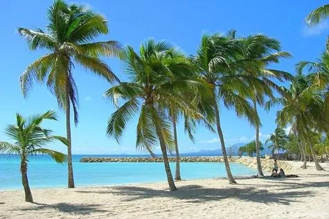 Les plus belles plages de la Guadeloupe                                         