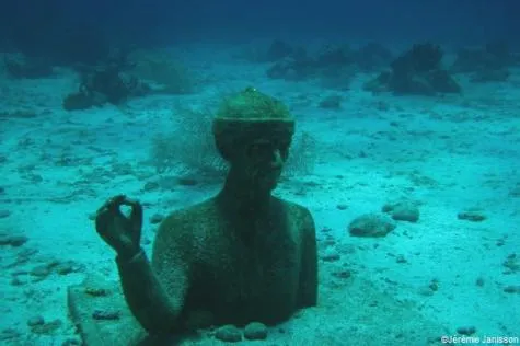 Réserve Cousteau Guadeloupe                                                     