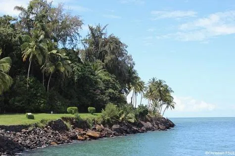 Découvrir la Guyane pour vos prochaines vacances                                