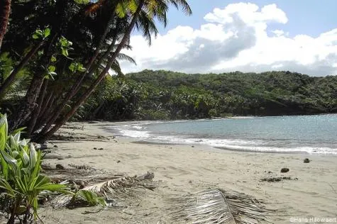 Découvrir la Dominique : mes conseils pour découvrir cette île                  