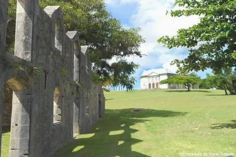 Le sentier de Murat : une agréable randonnée à Marie-Galante                    