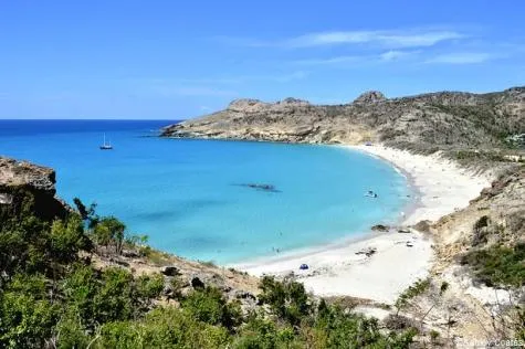 Passer une journée à St-Barth                                                   