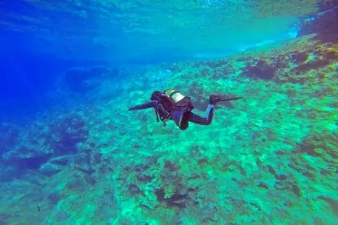 Plongée sous marine en Guadeloupe                                               