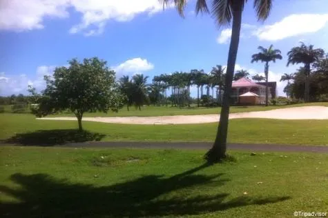 6ème édition de l'Open de golf Guadeloupe                                       
