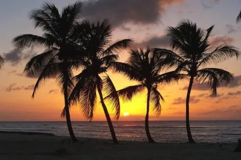 Une virée paradisiaque en Guadeloupe !                                          