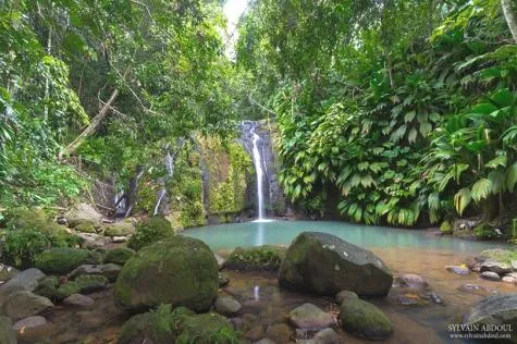 Découvrir les rivières et les cascades de Guadeloupe                            
