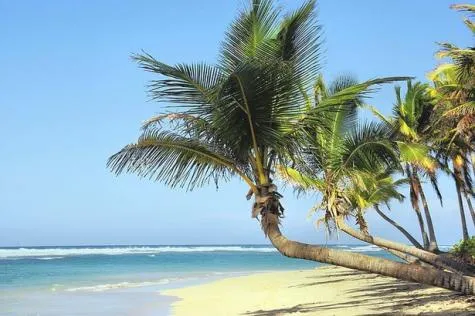 Quelle île choisir pour un voyage aux Antilles                                  