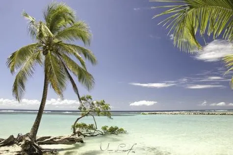 Plage des Salines Sainte-Anne, Martinique                                       