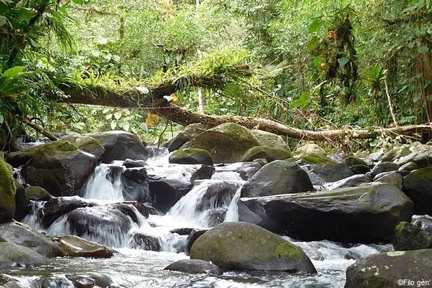 Parc National de Guadeloupe                                                     