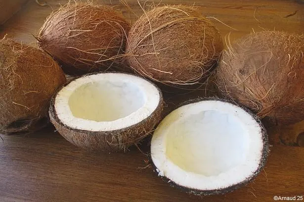 Noix de Coco - L'Or blanc végétal des Antilles                                  