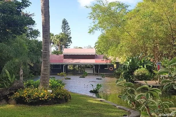 Jardin botanique de Deshaies en Guadeloupe                                      