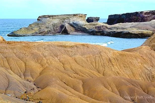 Savane des Pétrifications en Martinique                                         