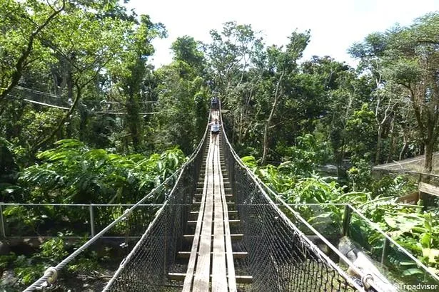 Zoo de Guadeloupe - Parc des Mamelles                                           