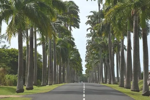 Quelle voiture choisir pour sa location de vacances aux Antilles?               