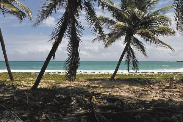 Des vacances pas chères aux Antilles                                            