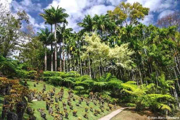 Jardin de Balata en Martinique                                                  