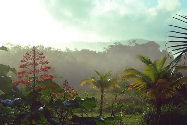 Comment passer de bonnes vacances en Guyane?                                    