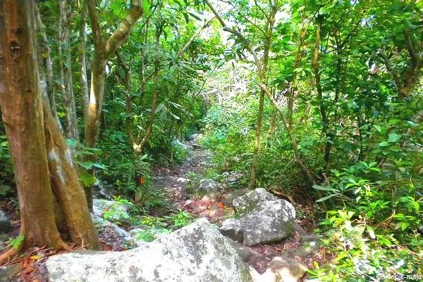 Guide des randonnées en Martinique                                              