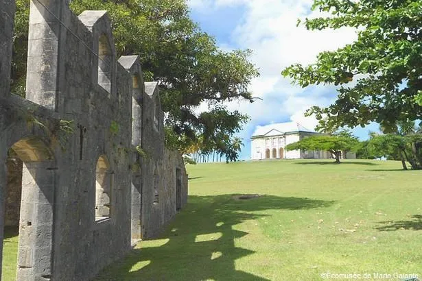 Le sentier de Murat : une agréable randonnée à Marie-Galante                    