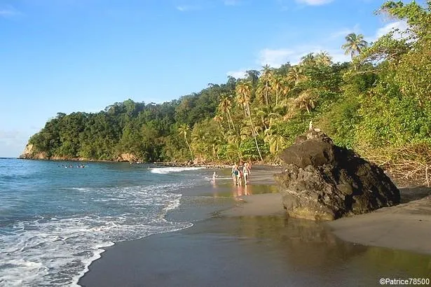 Découvrir les plages de Martinique                                              