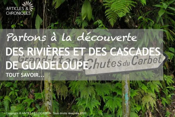 Découvrir les rivières et les cascades de Guadeloupe