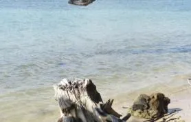 GITE TIFIGUE proximite mer et plage