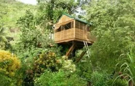 Domaine de Robinson, bungalows de charme sur la plage et cabane dans les arbres