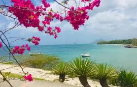 Villa Bauhinia avec vue mer, piscine et à 800 mètres de la plage