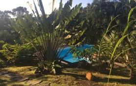 Gîte en bois, coeur d'un jardin luxuriant comportant une ancienne maison créole et piscine