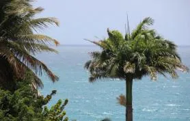VILLA DE PRESTIGE KOULEUR KAFÉ,  AVEC VUE MER ET PISCINE À DÉBORDEMENT