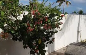 Villa de standing The White House, ORIENT BAY RESORT
