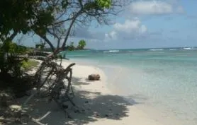 PROMO -20%A 150m de la plage Ste-Anne, du Surf: Studios T2 Spa T3 6personnes