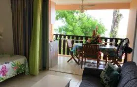 Studio**** 4p,2 ème étage, tout confort,Wifi Gratuit,magnifique terrasse,somptueuse vue mer,parking
