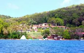 Magnifique et confortable T2 60m2 avec carbet à Louer à Sainte ANNE