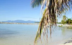 SAINTE ANNE 800M DE LA PLAGE Bungalows et Villas en Guadeloupe avec le VERGER DE SAINTE ANNE