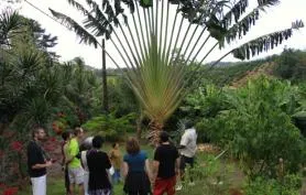 LA BANANERAIE/ AGRITOURISME/ LIT 1.80X2.00/exploitation fruitière et maraîchère. Tarifs dégressifs intéressants.