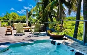 Villa Palma, piscine et jacuzzi, Cap Est, proche plage