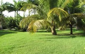 Location gîtes et villa touristiques Sainte-Anne Guadeloupe