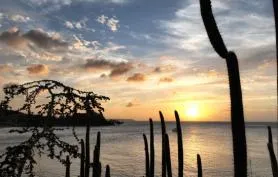 Les ilots de Friar's bay à 100 mètres de la plage