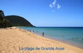 Bungalow Fleurs des îles en bordure de plage de Grande Anse