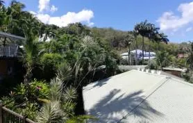 Bungalow bois vue mer dans jardin tropical