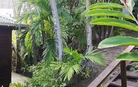 Bungalow bois vue mer dans jardin tropical