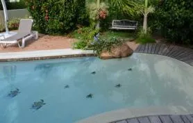 Villa, grande piscine, 2 apparts independants