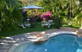 Villa, piscine, jacuzzi, jardin luxuriant